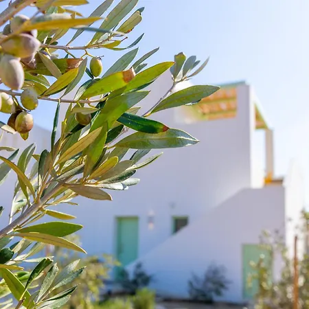 Villa Plioni & *