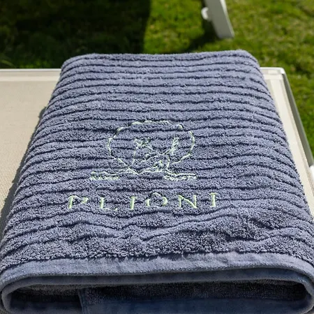 Villa Plioni & *