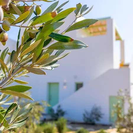 Villa Plioni &