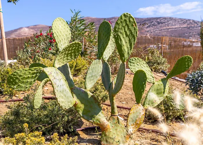 וילה Plioni With Private Pool & With Hot Tub