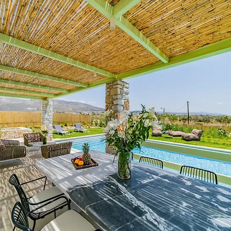 Plioni With Private Pool & With Hot Tub Mikri Vigla