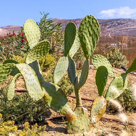 Villa Plioni With Private Pool & With Hot Tub